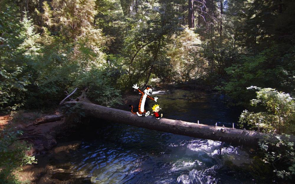 log over river